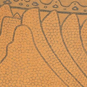 Estevão Mucavele